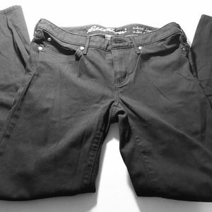 Eddie Bauer Black Pants Curvy Slim Straight Size 6